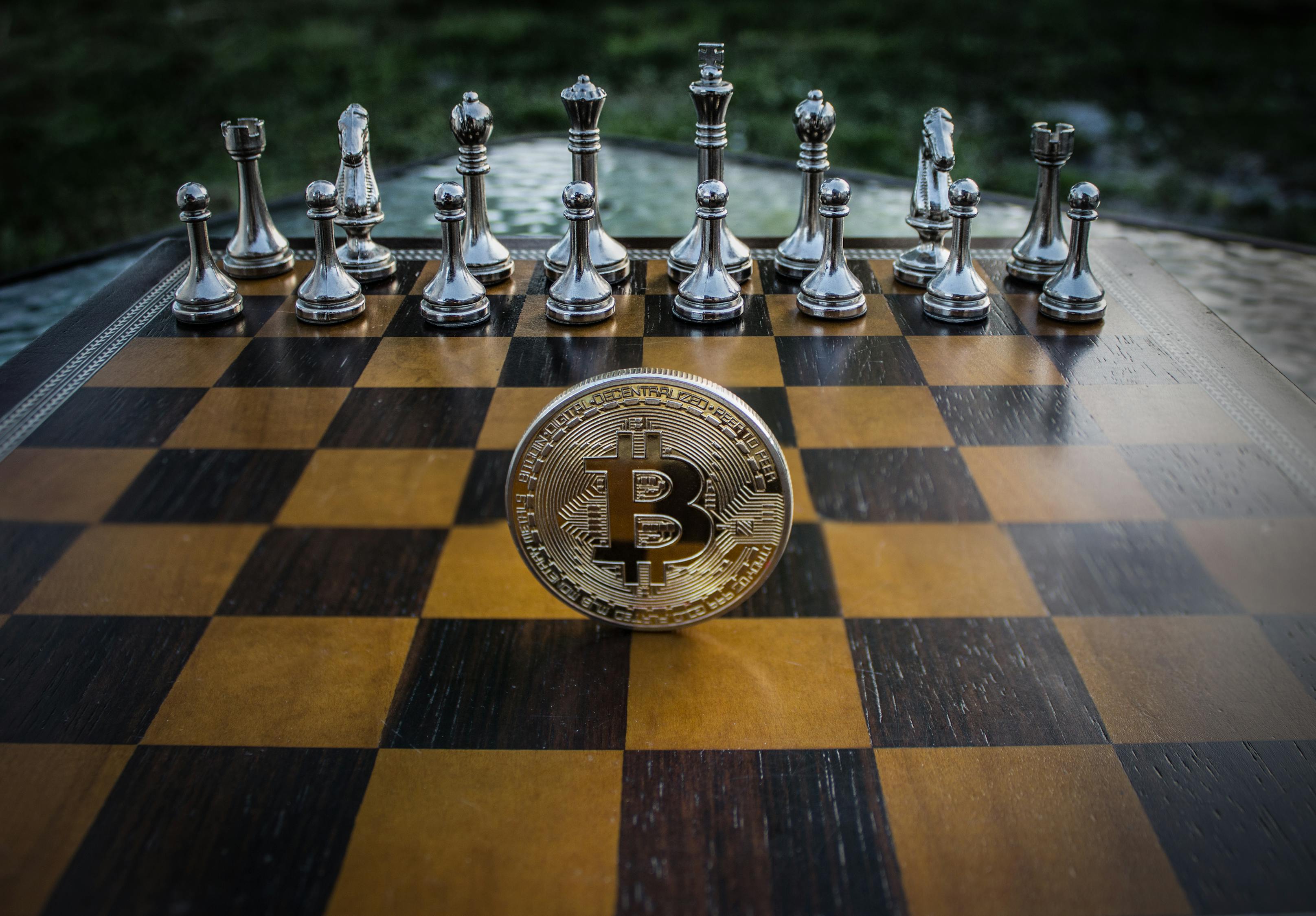 2024澳门特马今晚开奖93，信息处理策略_先锋尝鲜版LS762.544.61