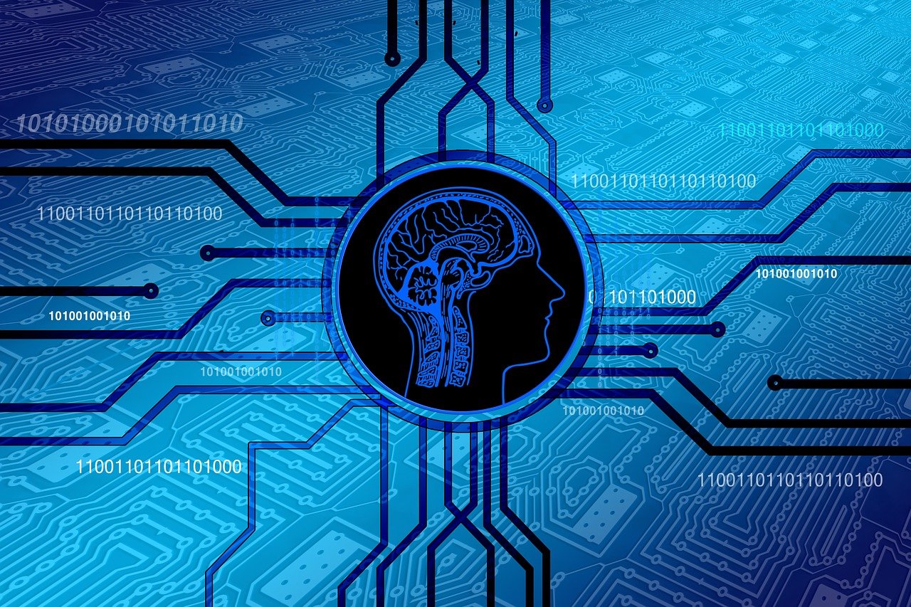 2024新奥免费看的资料，细致数据的实证研究_炼气境58.62.93