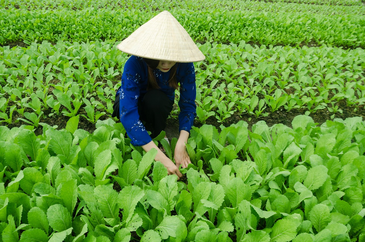 爱情的模样 第18页